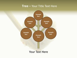 Healthcare Tuna Sticks PowerPoint Template