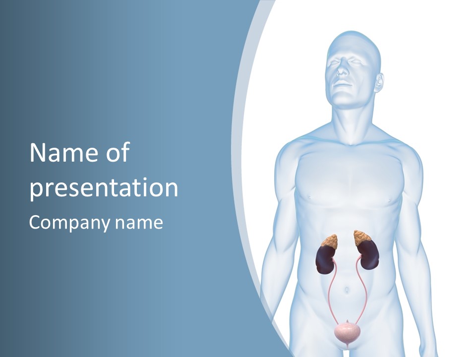 A Man's Stomach Is Shown In This Powerpoint Presentation PowerPoint Template