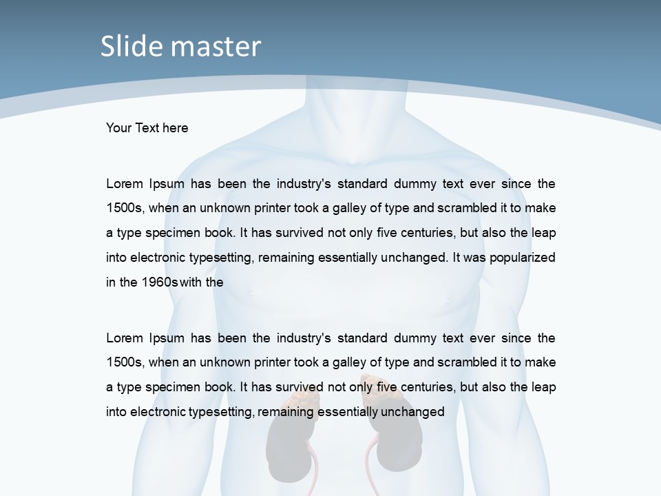 A Man's Stomach Is Shown In This Powerpoint Presentation PowerPoint Template