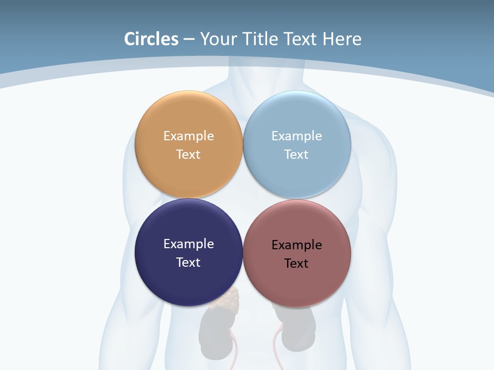 A Man's Stomach Is Shown In This Powerpoint Presentation PowerPoint Template