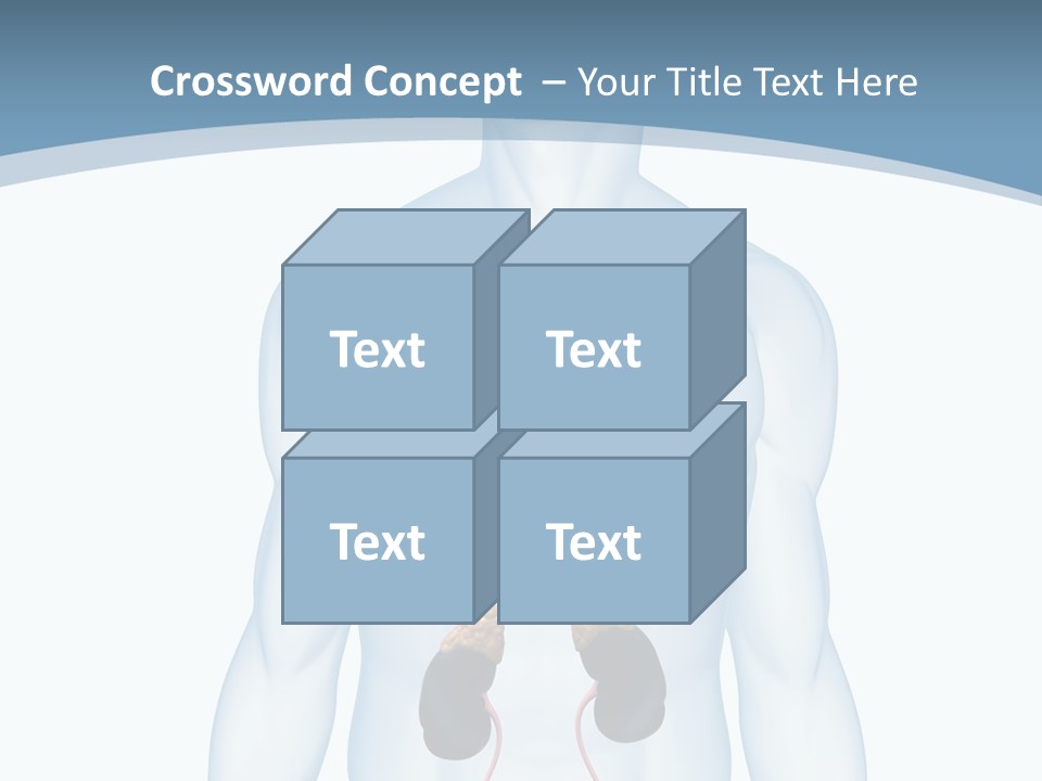 A Man's Stomach Is Shown In This Powerpoint Presentation PowerPoint Template