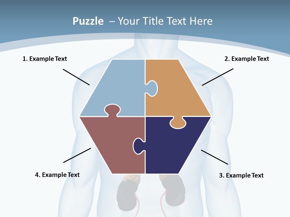A Man's Stomach Is Shown In This Powerpoint Presentation PowerPoint Template