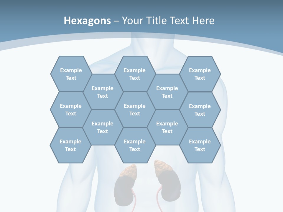 A Man's Stomach Is Shown In This Powerpoint Presentation PowerPoint Template