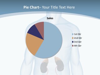 A Man's Stomach Is Shown In This Powerpoint Presentation PowerPoint Template