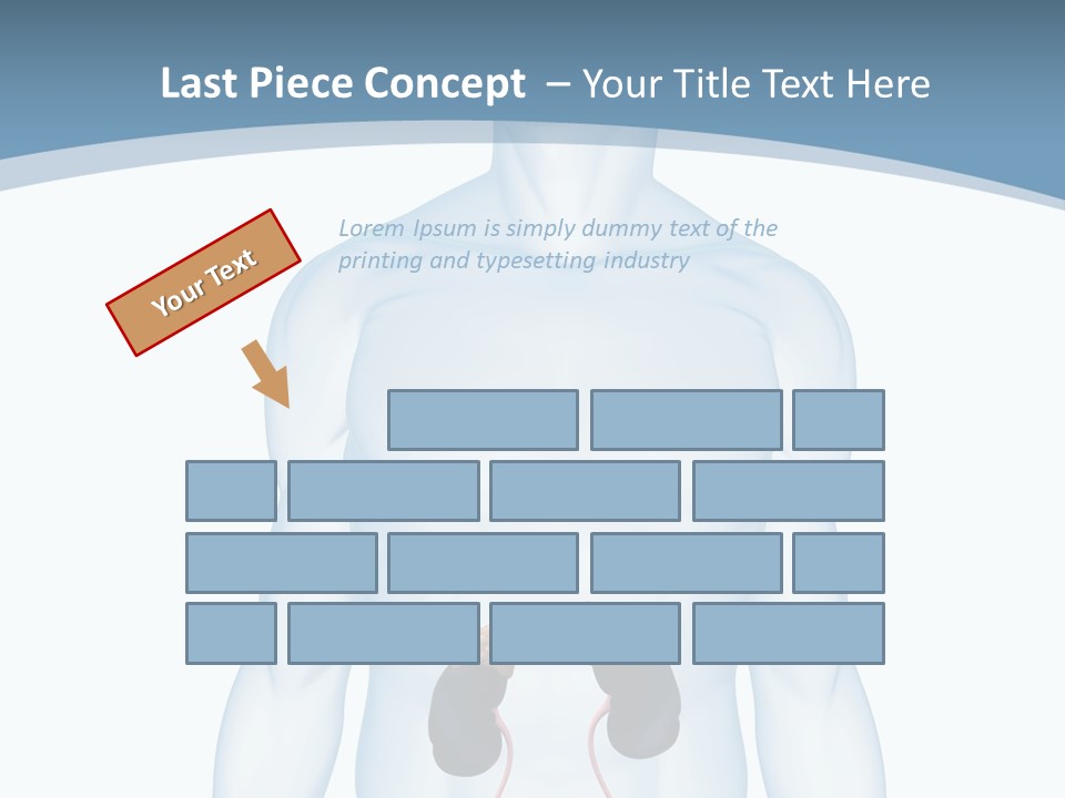 A Man's Stomach Is Shown In This Powerpoint Presentation PowerPoint Template