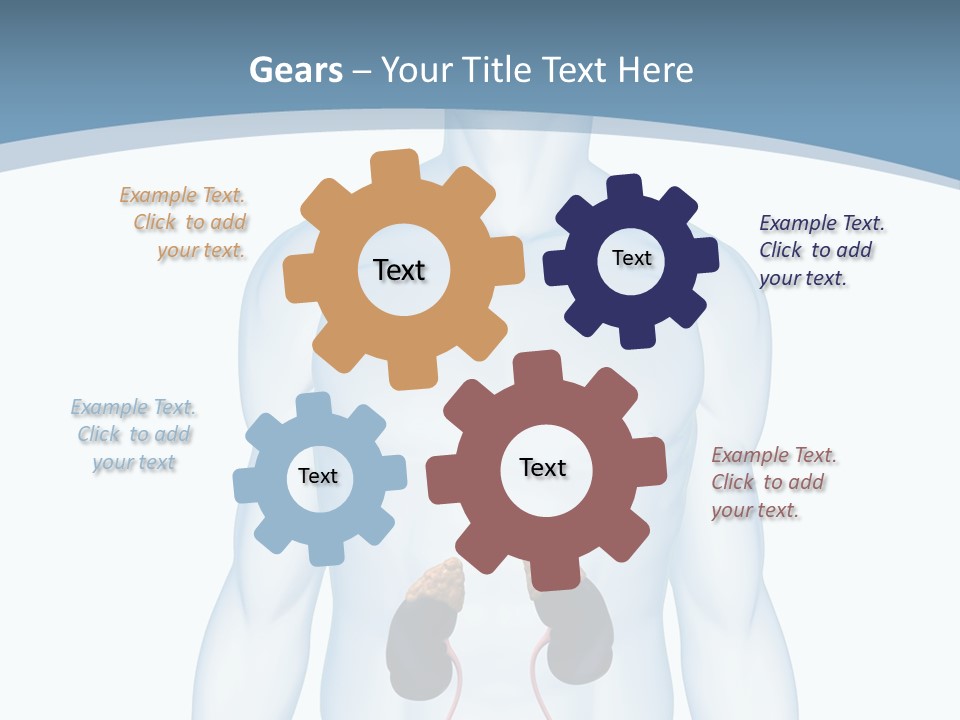 A Man's Stomach Is Shown In This Powerpoint Presentation PowerPoint Template