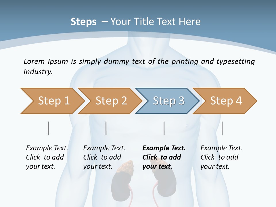 A Man's Stomach Is Shown In This Powerpoint Presentation PowerPoint Template