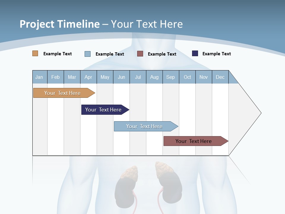 A Man's Stomach Is Shown In This Powerpoint Presentation PowerPoint Template