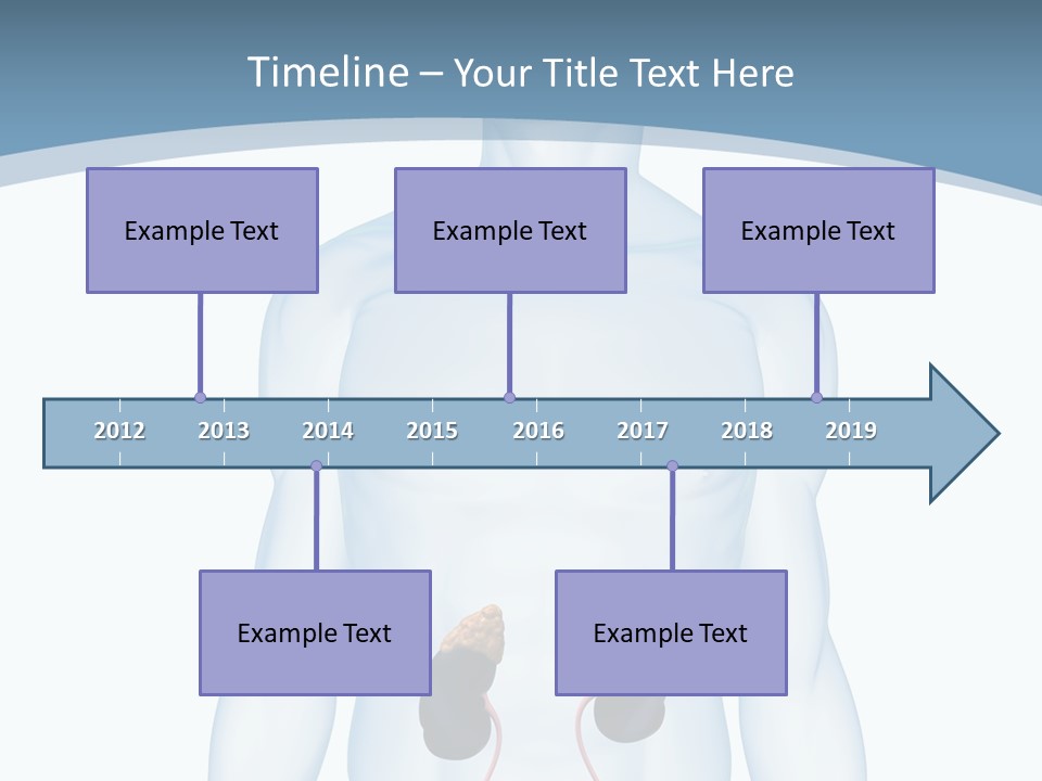 A Man's Stomach Is Shown In This Powerpoint Presentation PowerPoint Template