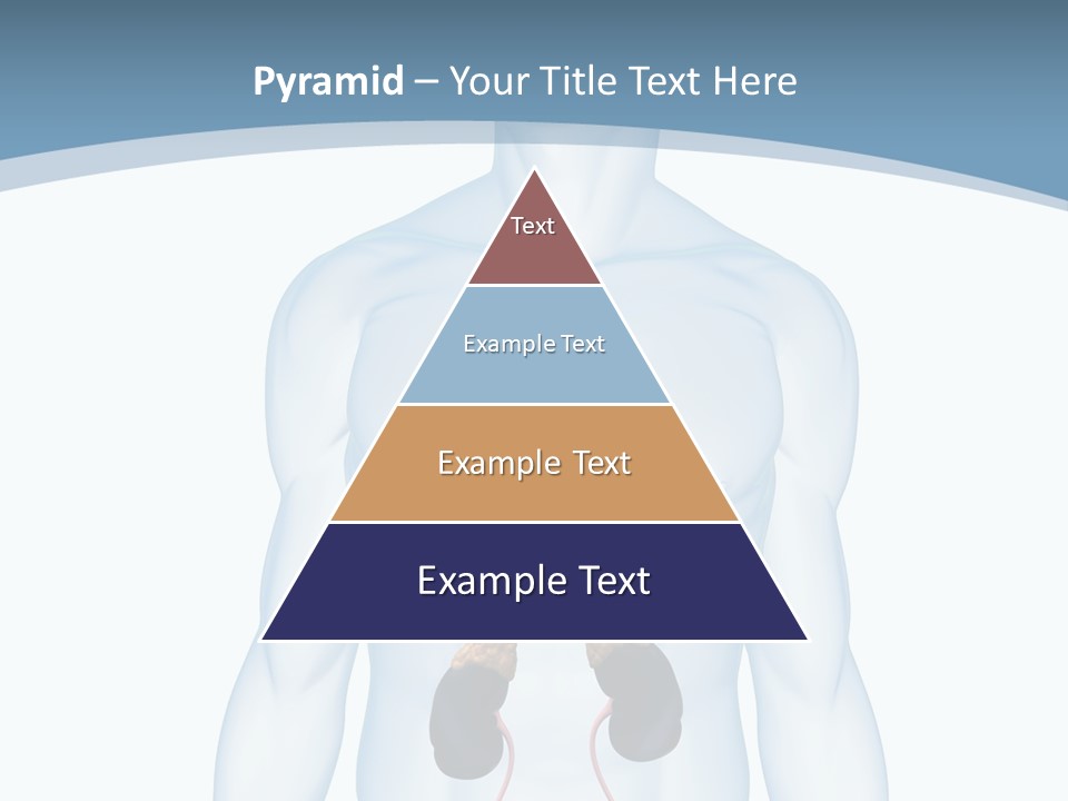 A Man's Stomach Is Shown In This Powerpoint Presentation PowerPoint Template