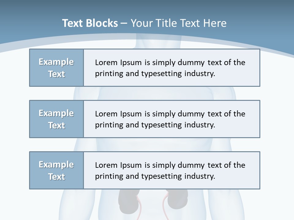 A Man's Stomach Is Shown In This Powerpoint Presentation PowerPoint Template
