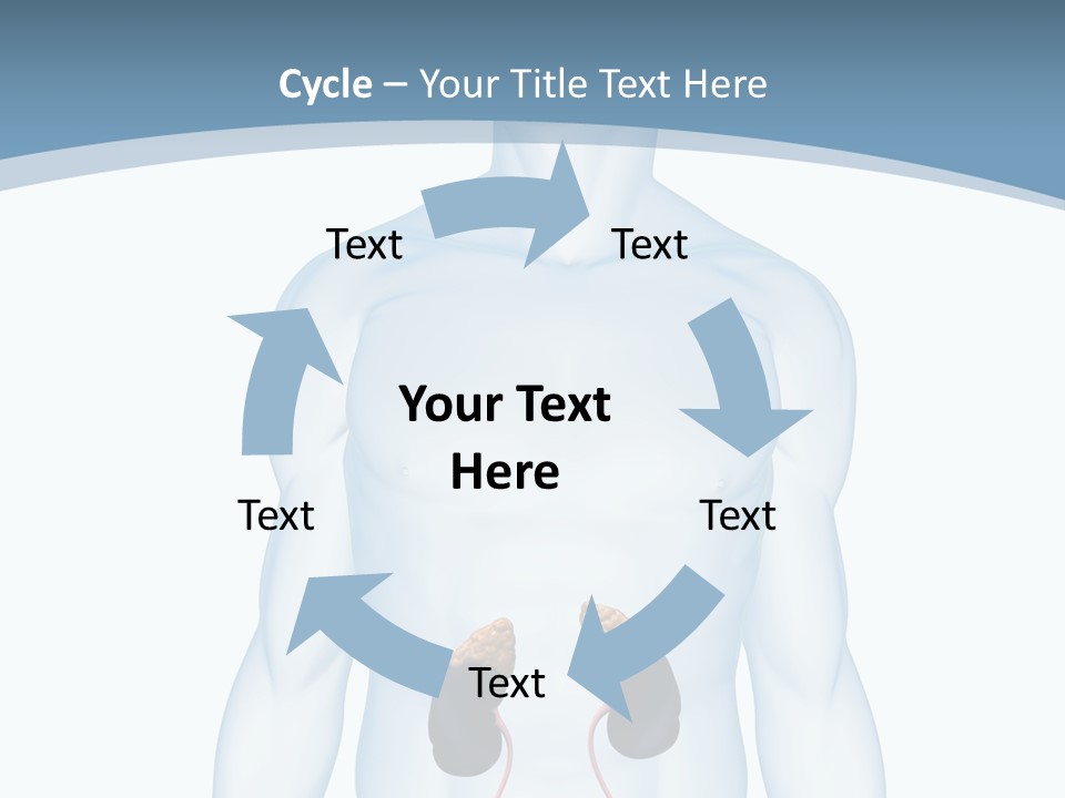 A Man's Stomach Is Shown In This Powerpoint Presentation PowerPoint Template
