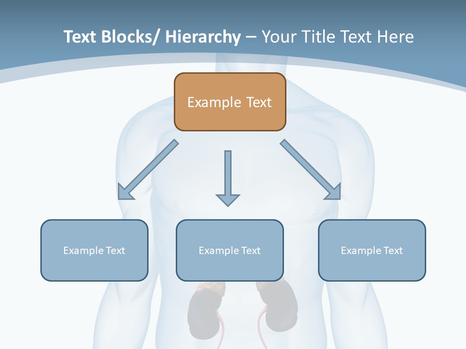 A Man's Stomach Is Shown In This Powerpoint Presentation PowerPoint Template
