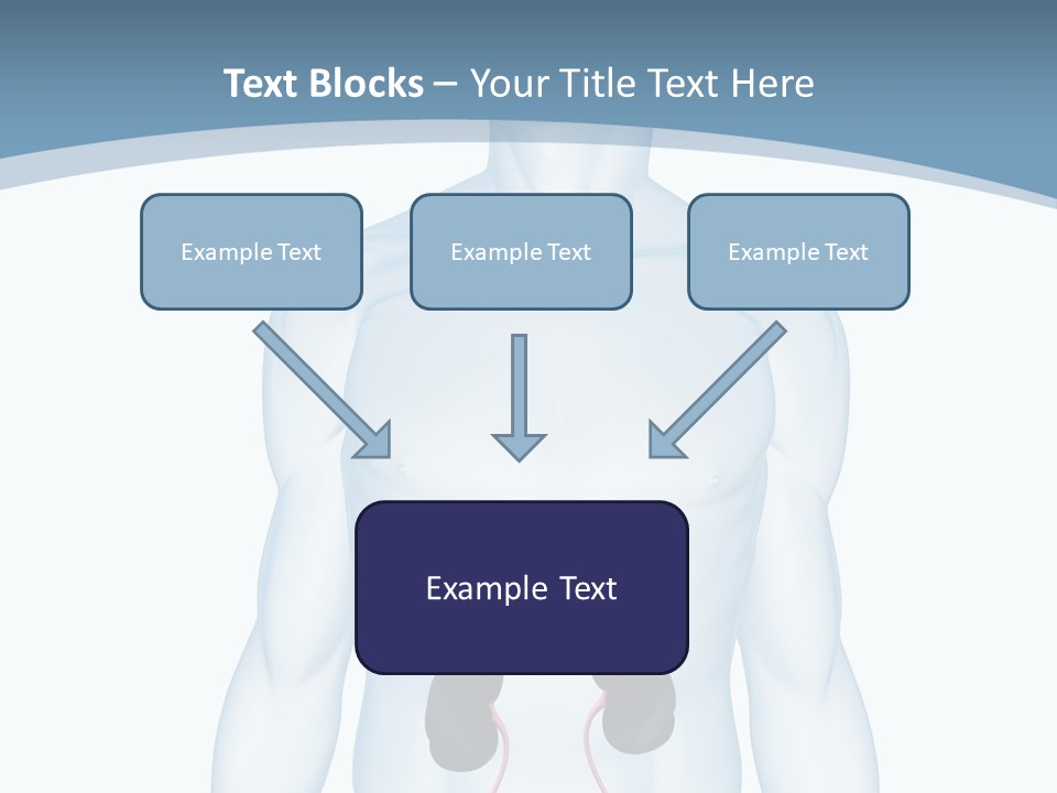 A Man's Stomach Is Shown In This Powerpoint Presentation PowerPoint Template