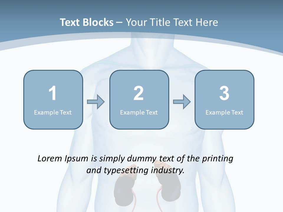 A Man's Stomach Is Shown In This Powerpoint Presentation PowerPoint Template
