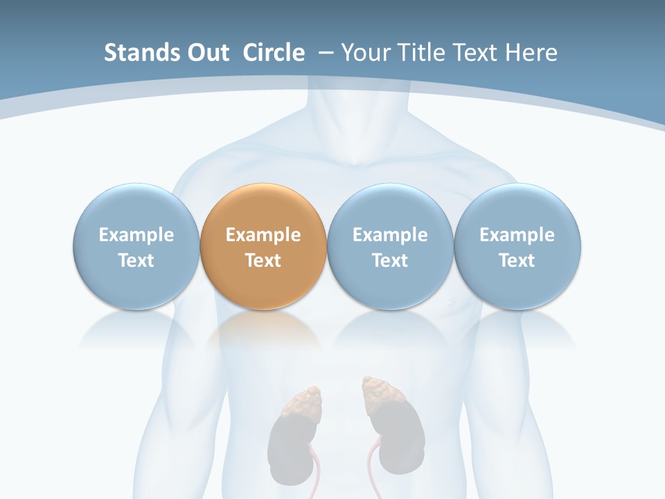 A Man's Stomach Is Shown In This Powerpoint Presentation PowerPoint Template