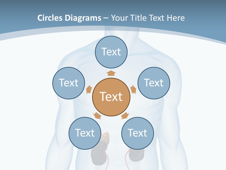 A Man's Stomach Is Shown In This Powerpoint Presentation PowerPoint Template