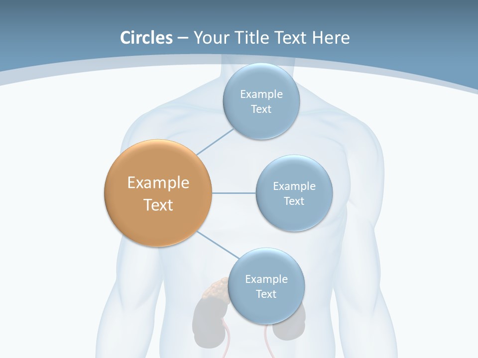 A Man's Stomach Is Shown In This Powerpoint Presentation PowerPoint Template