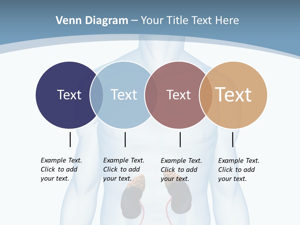 A Man's Stomach Is Shown In This Powerpoint Presentation PowerPoint Template