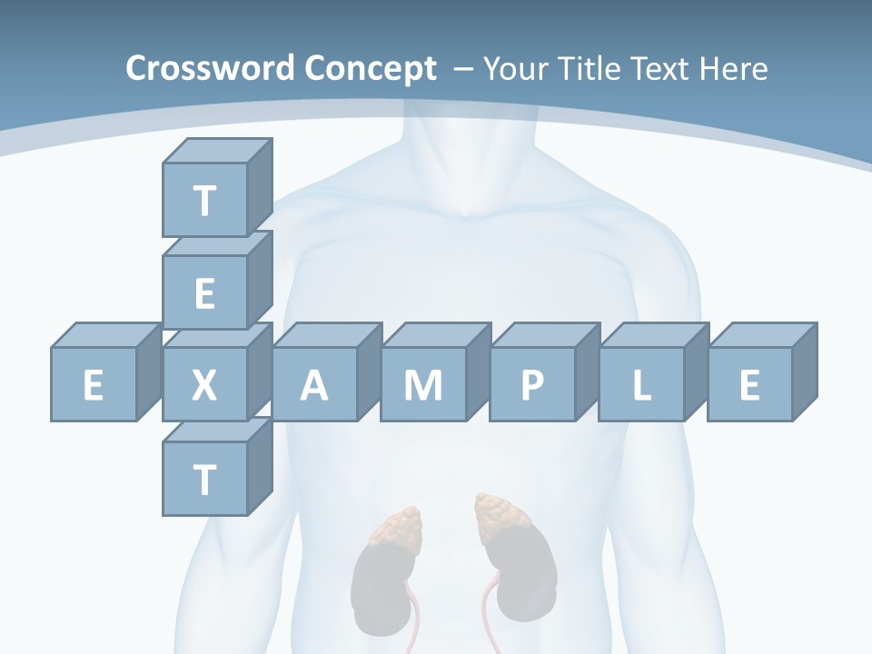 A Man's Stomach Is Shown In This Powerpoint Presentation PowerPoint Template