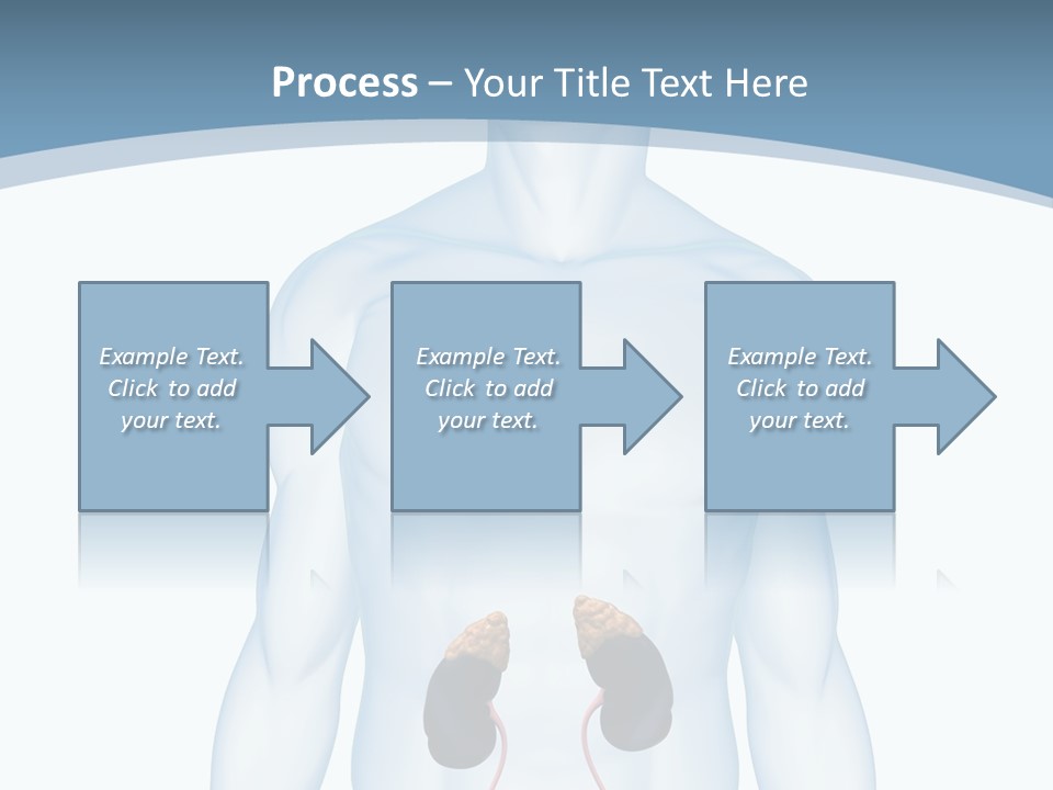 A Man's Stomach Is Shown In This Powerpoint Presentation PowerPoint Template