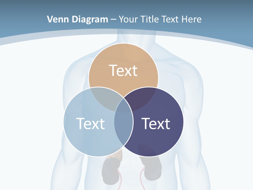 A Man's Stomach Is Shown In This Powerpoint Presentation PowerPoint Template