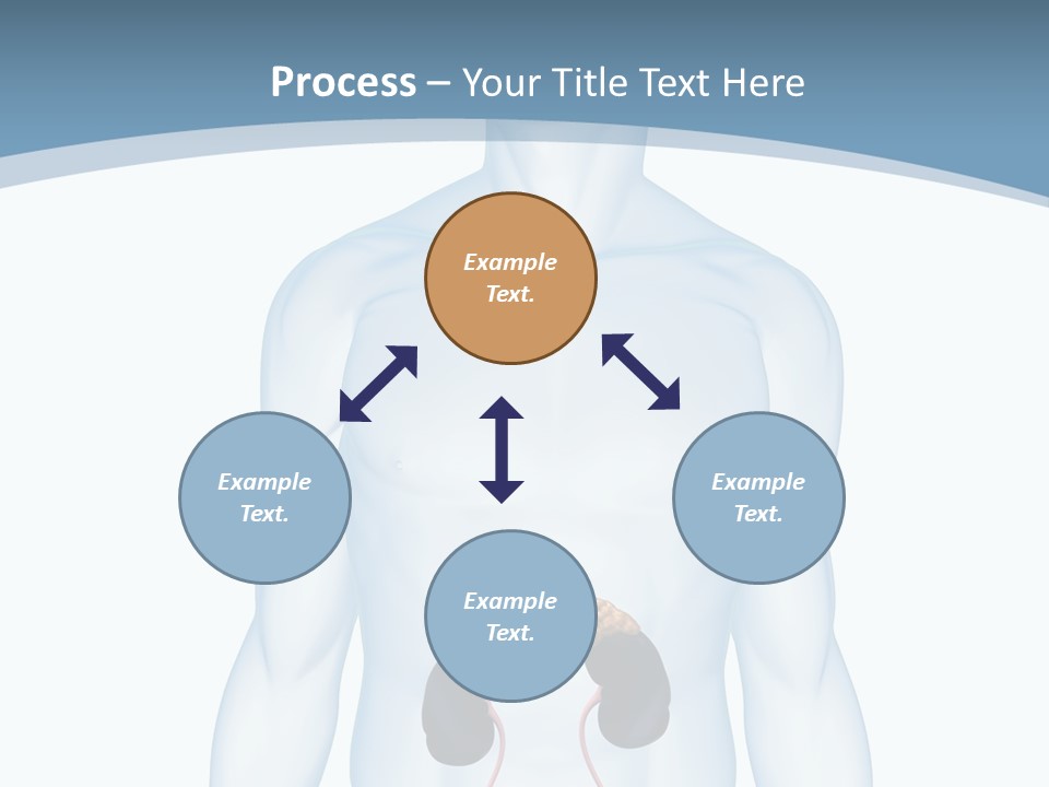 A Man's Stomach Is Shown In This Powerpoint Presentation PowerPoint Template