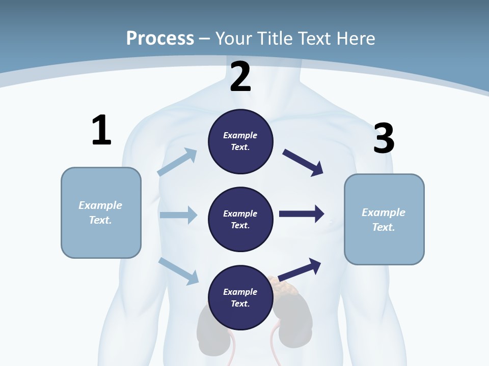 A Man's Stomach Is Shown In This Powerpoint Presentation PowerPoint Template