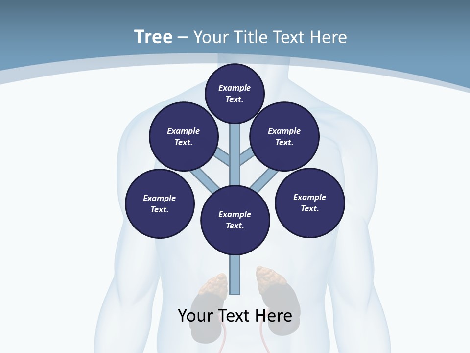 A Man's Stomach Is Shown In This Powerpoint Presentation PowerPoint Template