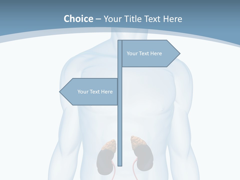 A Man's Stomach Is Shown In This Powerpoint Presentation PowerPoint Template