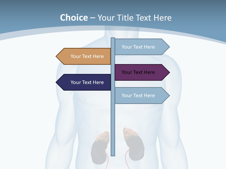 A Man's Stomach Is Shown In This Powerpoint Presentation PowerPoint Template