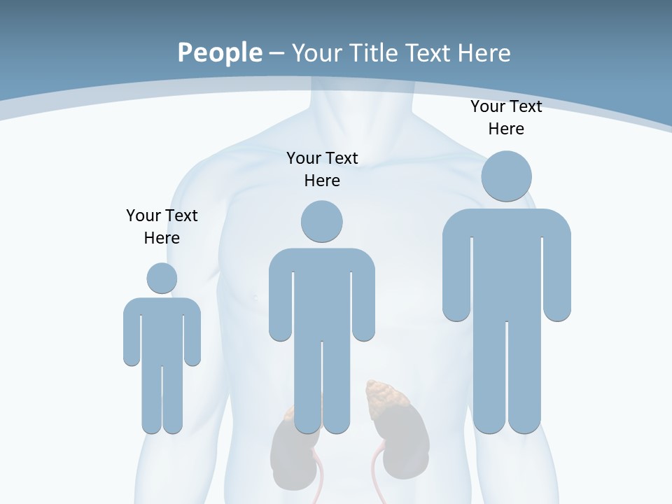 A Man's Stomach Is Shown In This Powerpoint Presentation PowerPoint Template