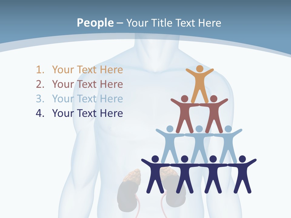 A Man's Stomach Is Shown In This Powerpoint Presentation PowerPoint Template