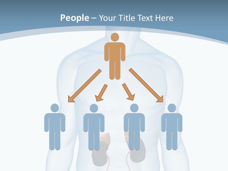 A Man's Stomach Is Shown In This Powerpoint Presentation PowerPoint Template