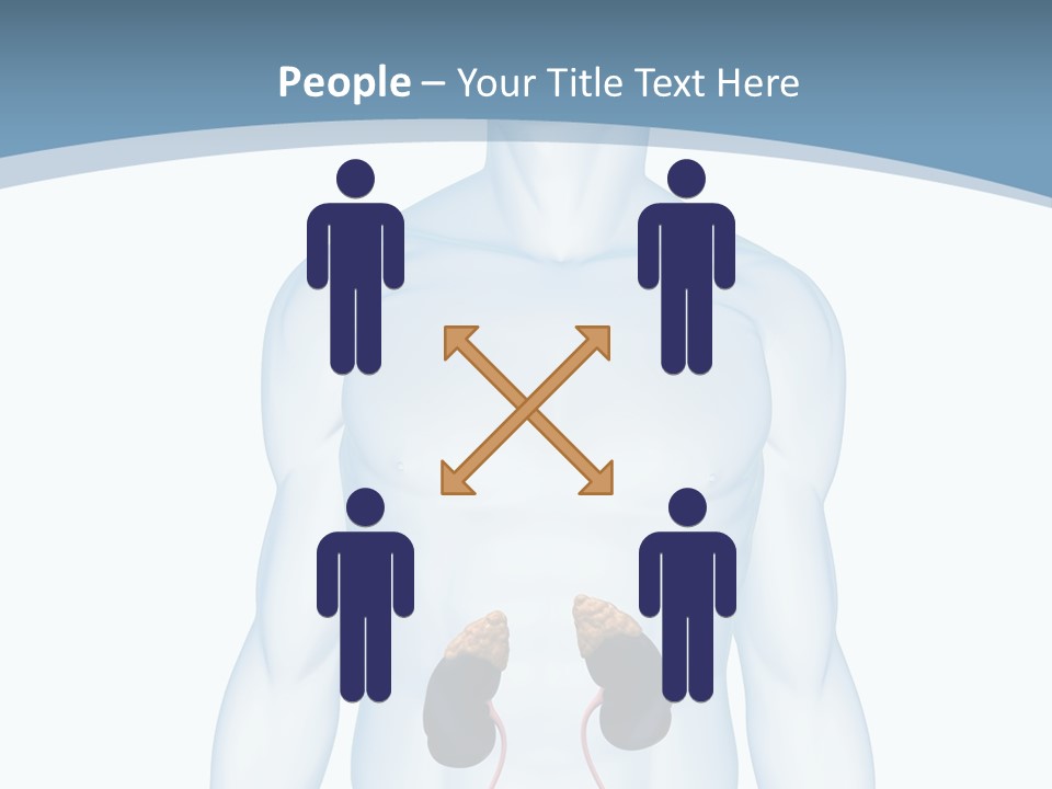 A Man's Stomach Is Shown In This Powerpoint Presentation PowerPoint Template