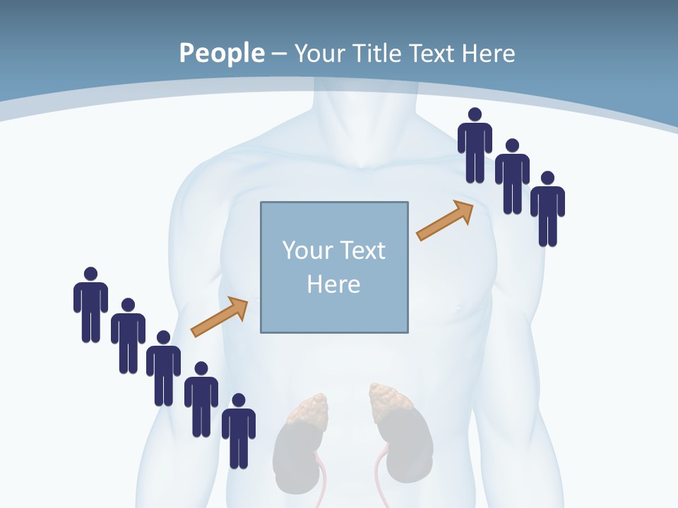 A Man's Stomach Is Shown In This Powerpoint Presentation PowerPoint Template