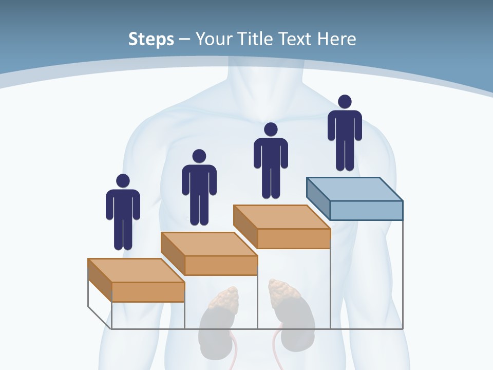 A Man's Stomach Is Shown In This Powerpoint Presentation PowerPoint Template