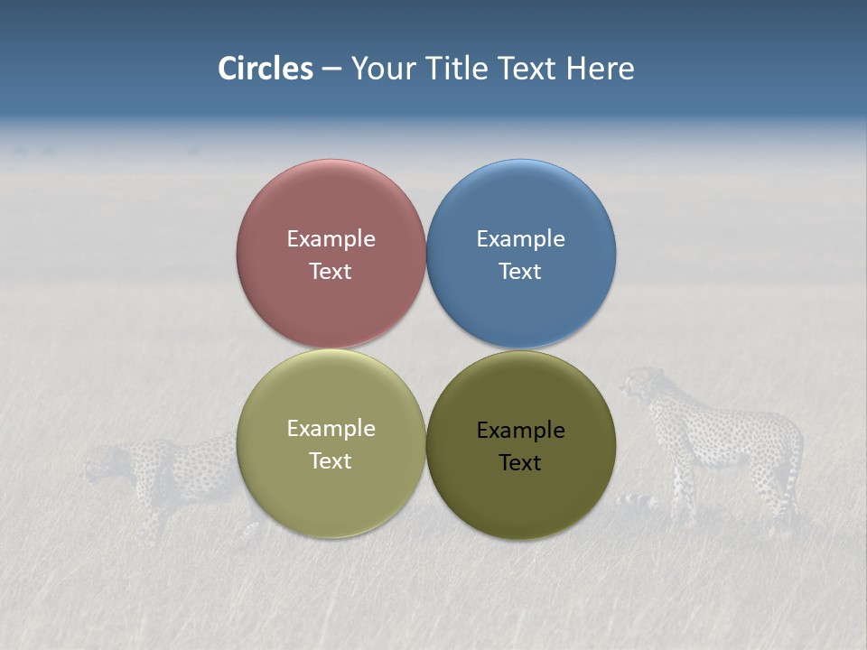 Dots Wildlife Big PowerPoint Template