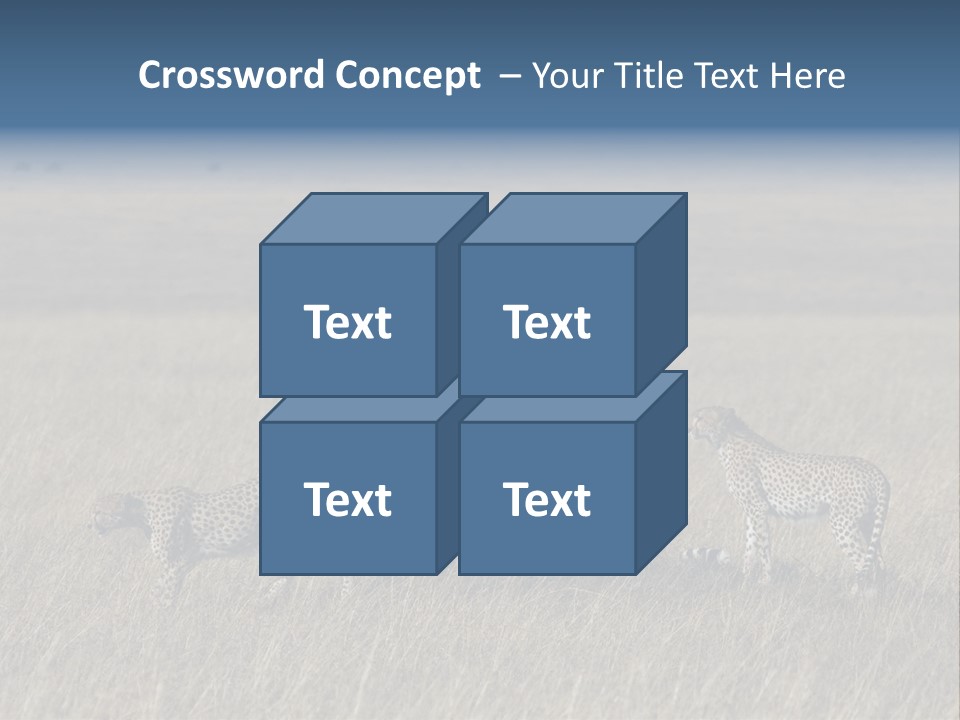 Dots Wildlife Big PowerPoint Template