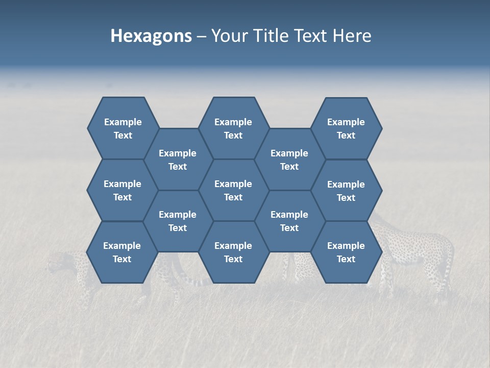 Dots Wildlife Big PowerPoint Template