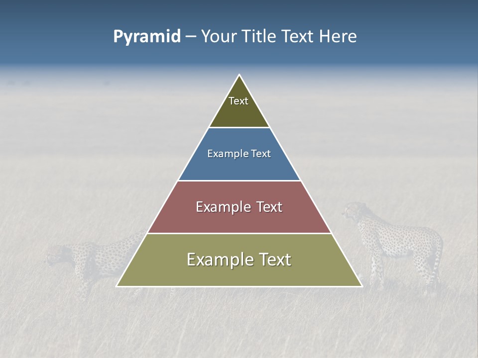 Dots Wildlife Big PowerPoint Template