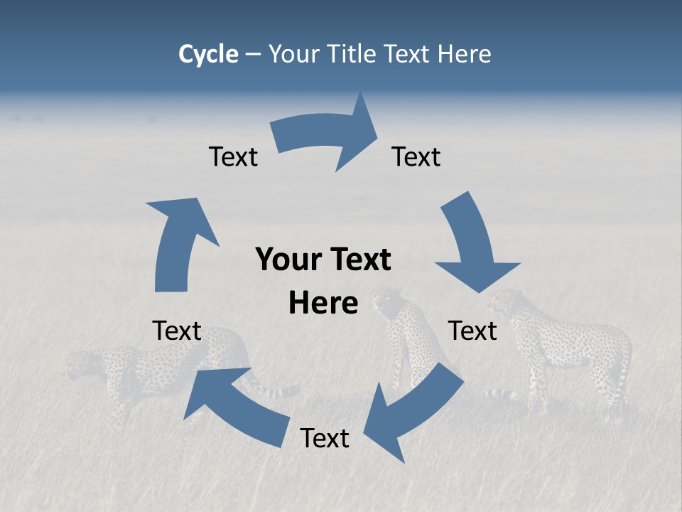 Dots Wildlife Big PowerPoint Template