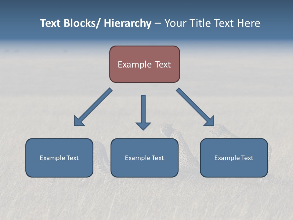 Dots Wildlife Big PowerPoint Template