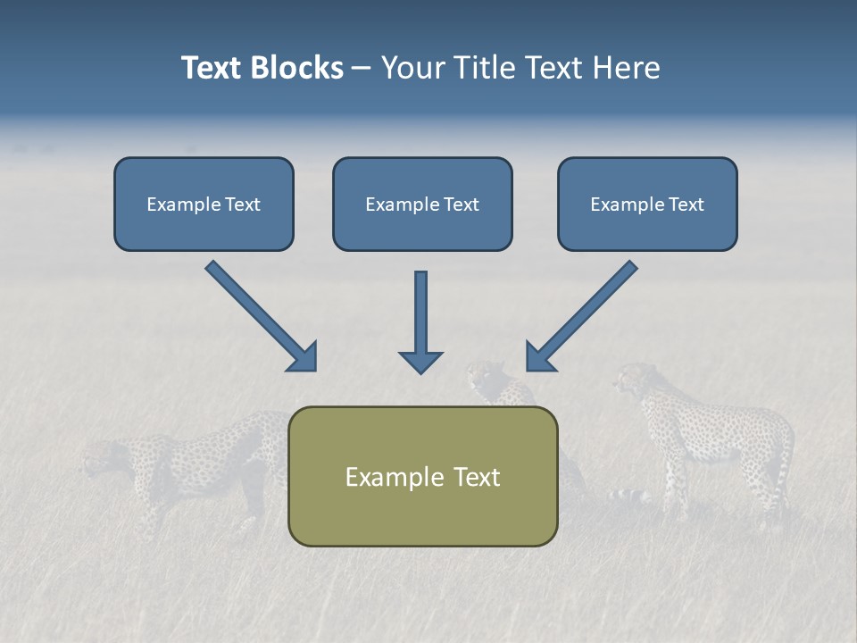 Dots Wildlife Big PowerPoint Template