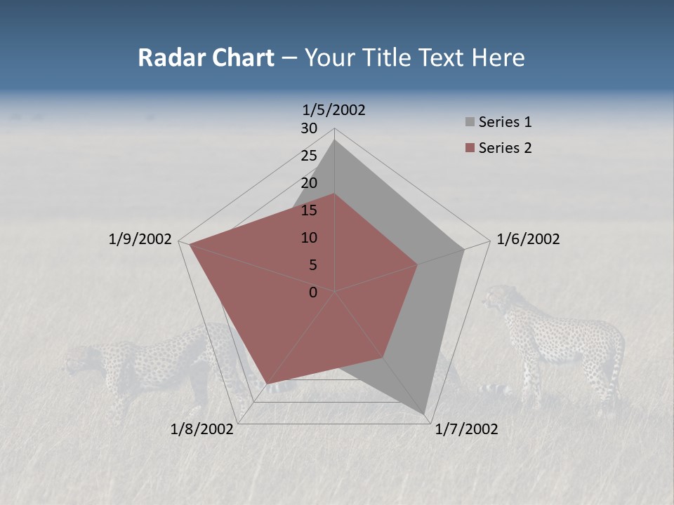 Dots Wildlife Big PowerPoint Template