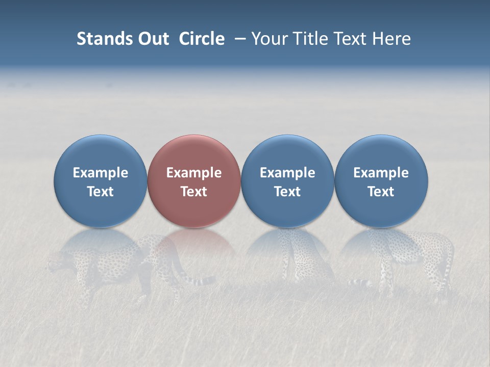 Dots Wildlife Big PowerPoint Template