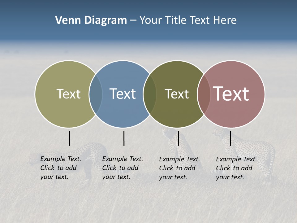 Dots Wildlife Big PowerPoint Template