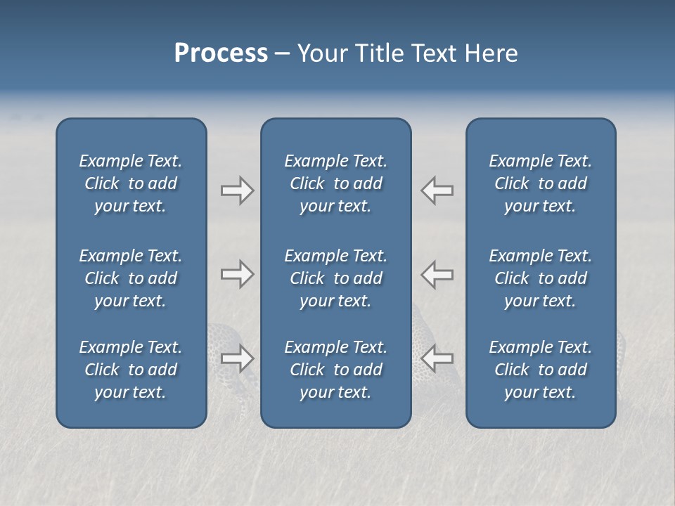 Dots Wildlife Big PowerPoint Template