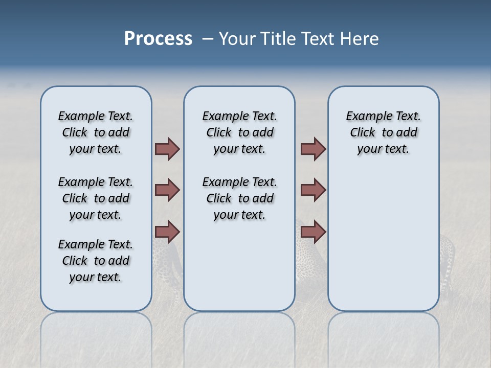 Dots Wildlife Big PowerPoint Template