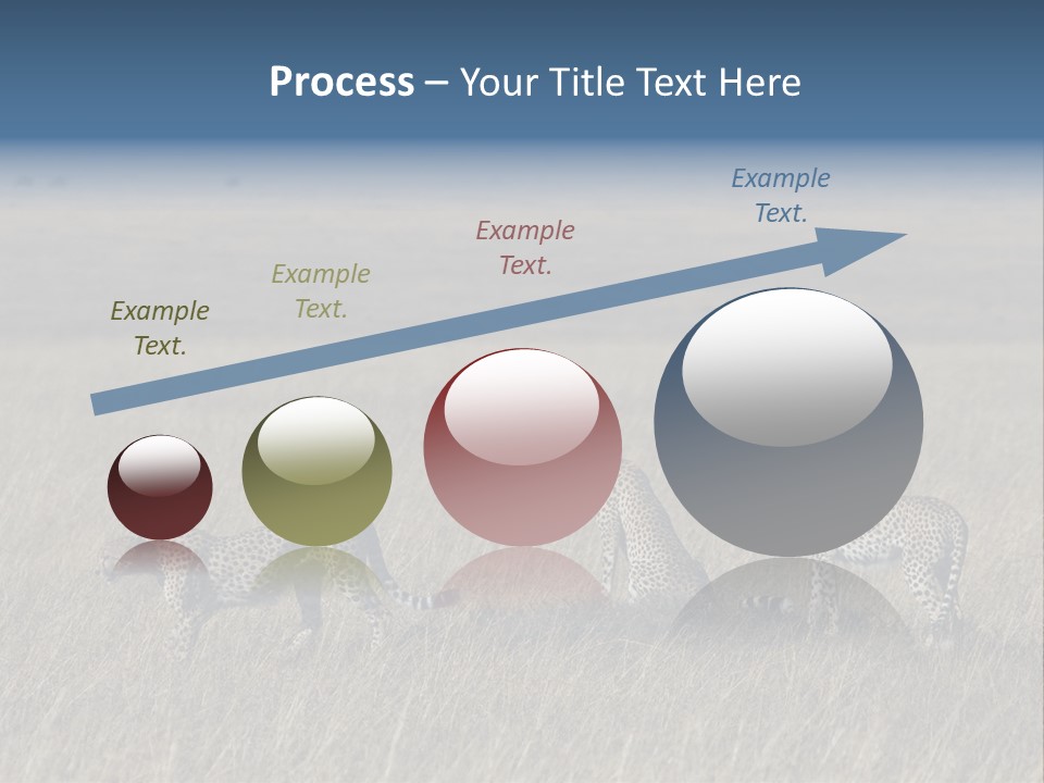 Dots Wildlife Big PowerPoint Template